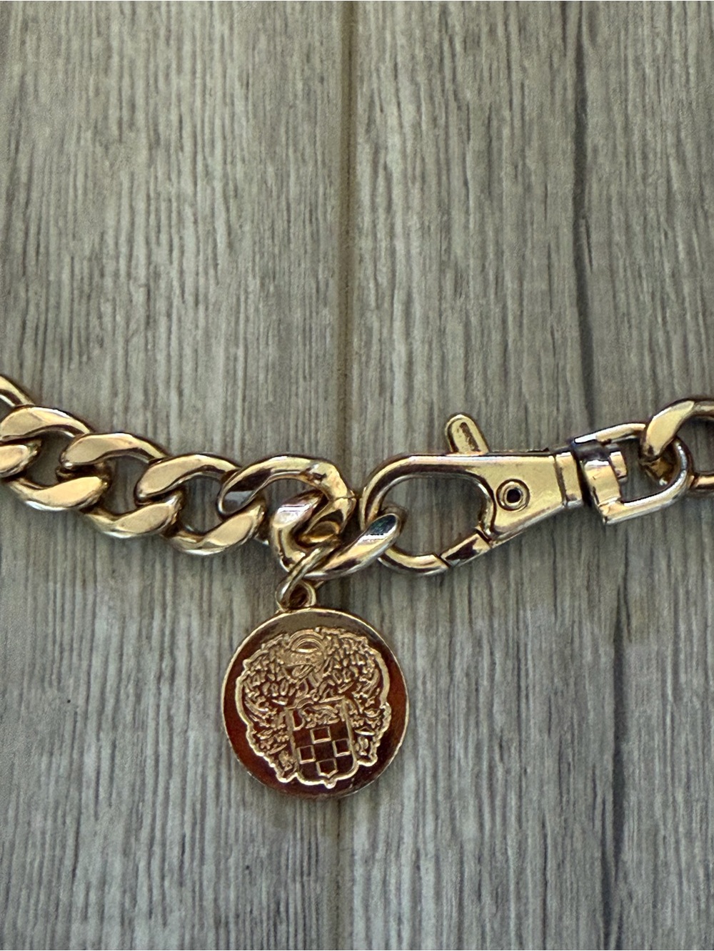 Gold Chain Belt with Medallion
